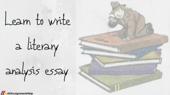 Literary analysis essay