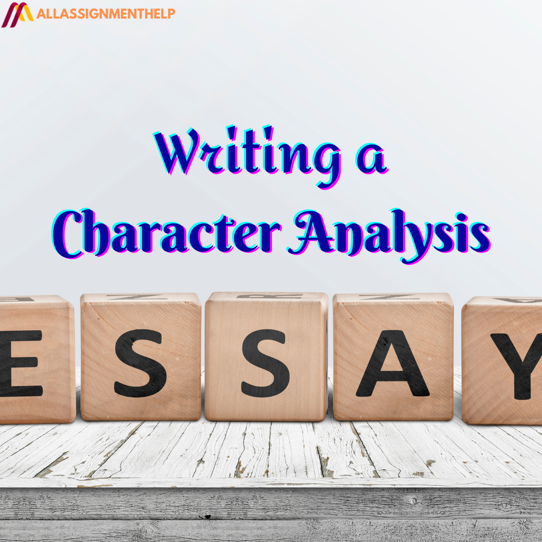 character analysis essay